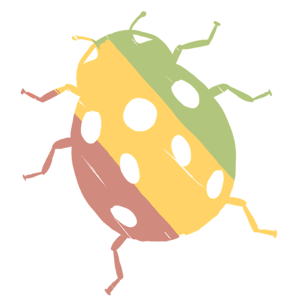 illustration de coccinelle