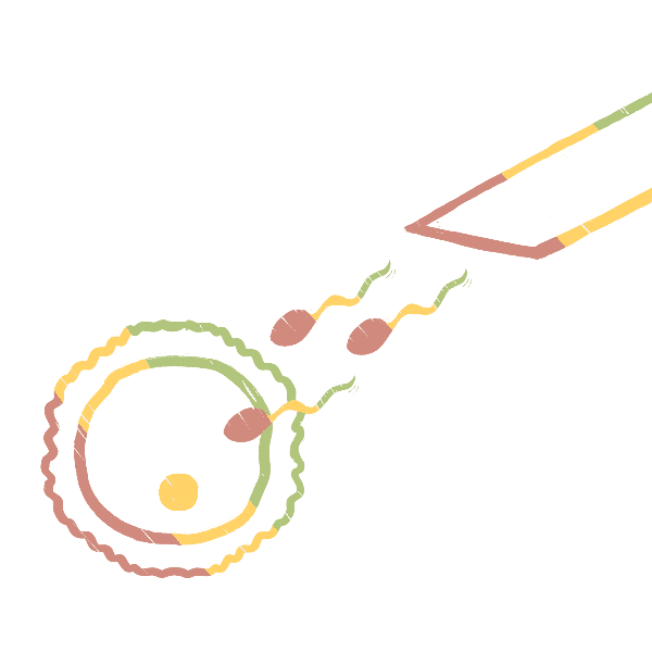 logo pma
